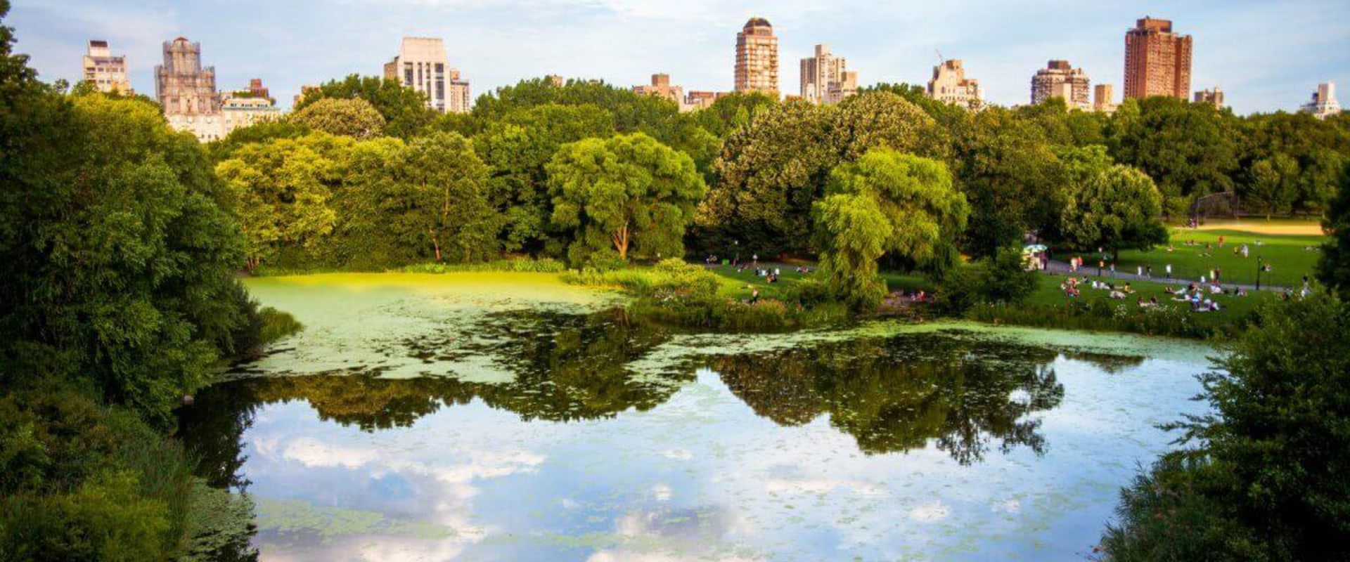 Exploring the Best Nature and Wildlife Views in Brooklyn, NY