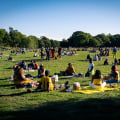 Exploring the Green Spaces and Parks in Brooklyn, NY