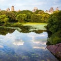 Exploring the Best Nature and Wildlife Views in Brooklyn, NY
